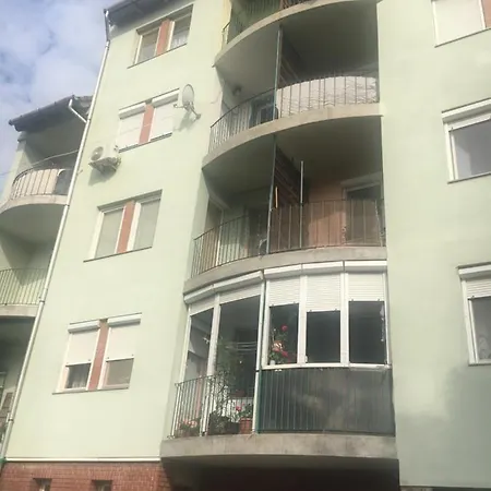 Pu-ma Szeged