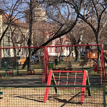 Pu-ma Szeged